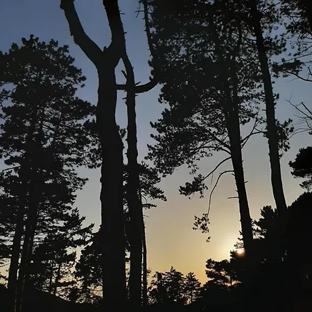 Il Campanile Civico 35 *