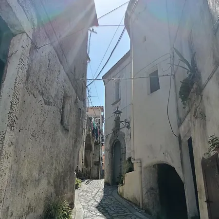 Il Campanile Civico 35