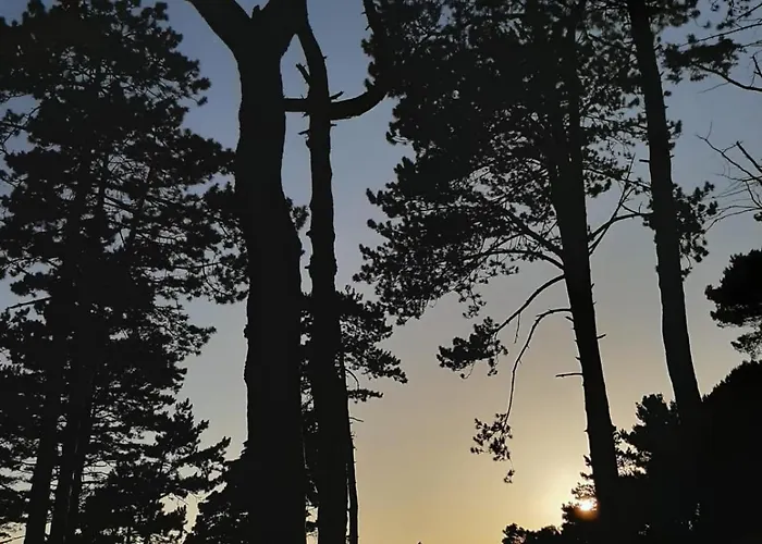 Il Campanile Civico 35 *